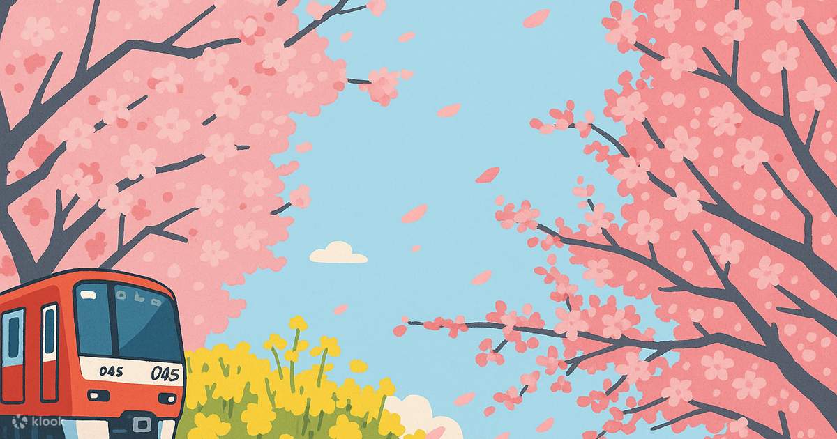 Miura Coast Kawazu Cherry Blossom Festival, Misaki Fishing Port